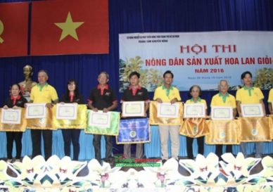 TP HCM: HỘI THI NÔNG DÂN SX HOA LAN GIỎI NĂM 2016